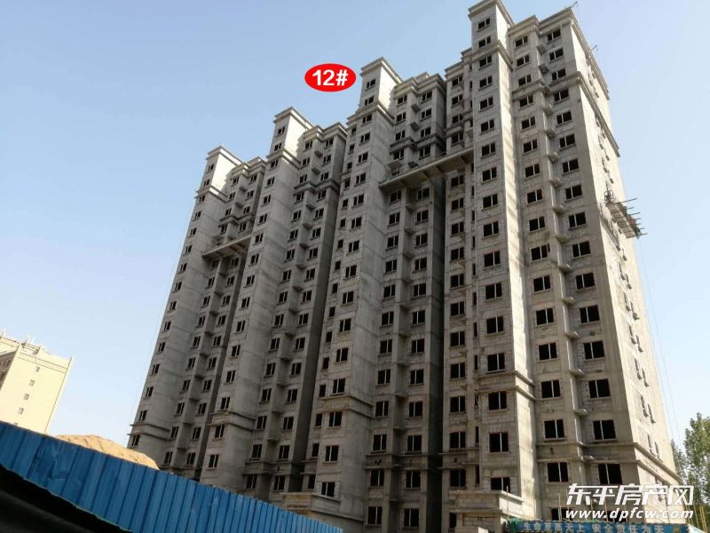 2020年4月17日东平康桥丹郡工程进度播报