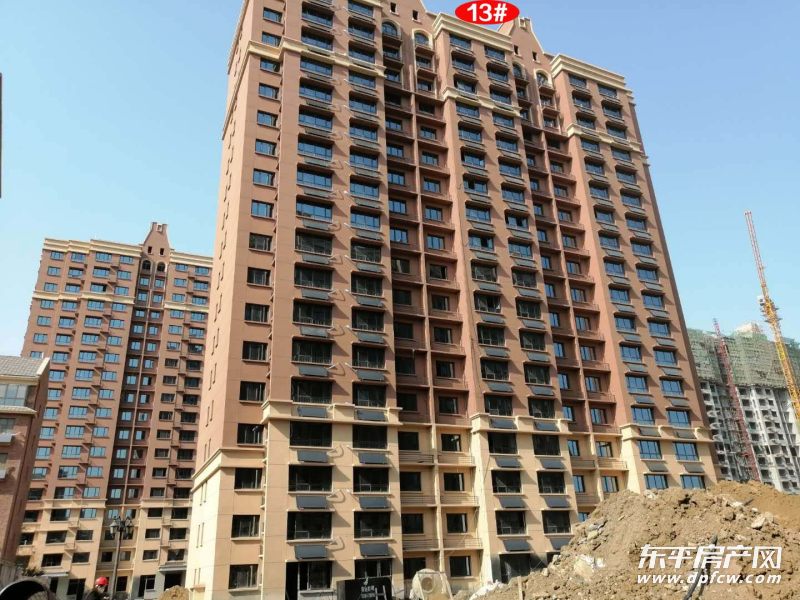 2020年4月17日东平康桥丹郡工程进度播报